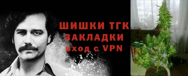 кокс Новокубанск