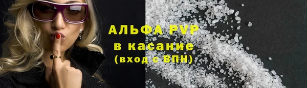 ECSTASY Новодвинск