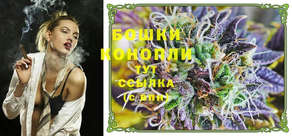 ECSTASY Новодвинск