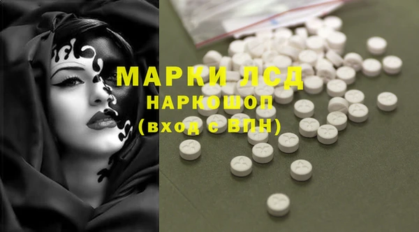ECSTASY Новодвинск