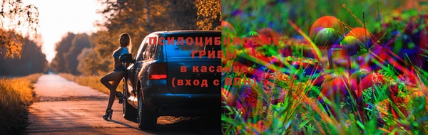 ECSTASY Новодвинск
