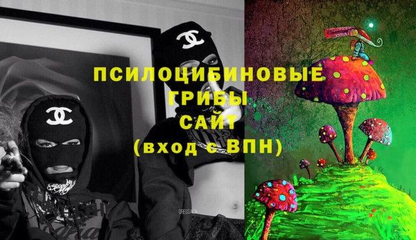 ECSTASY Новодвинск